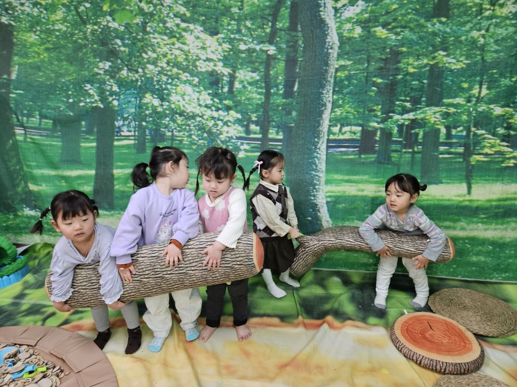 나무야놀자 이미지