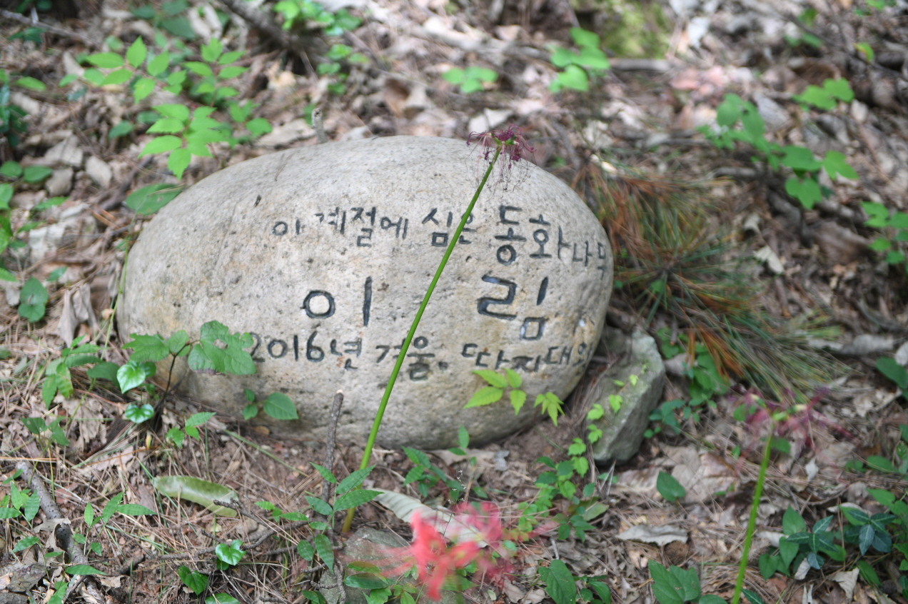 이*림 이미지