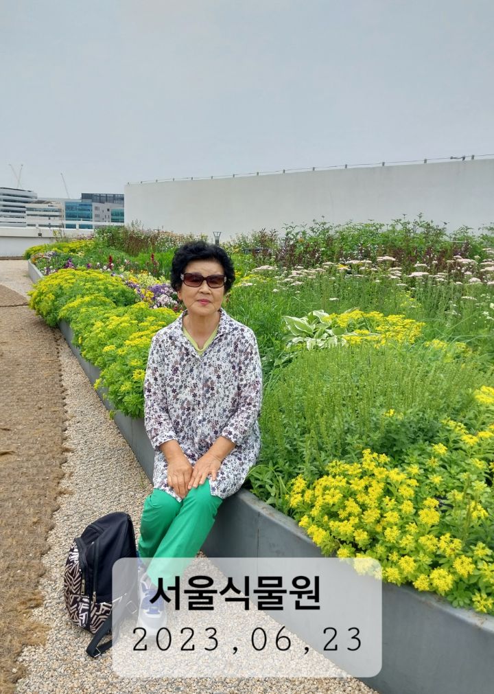 추계초등학교 이미지