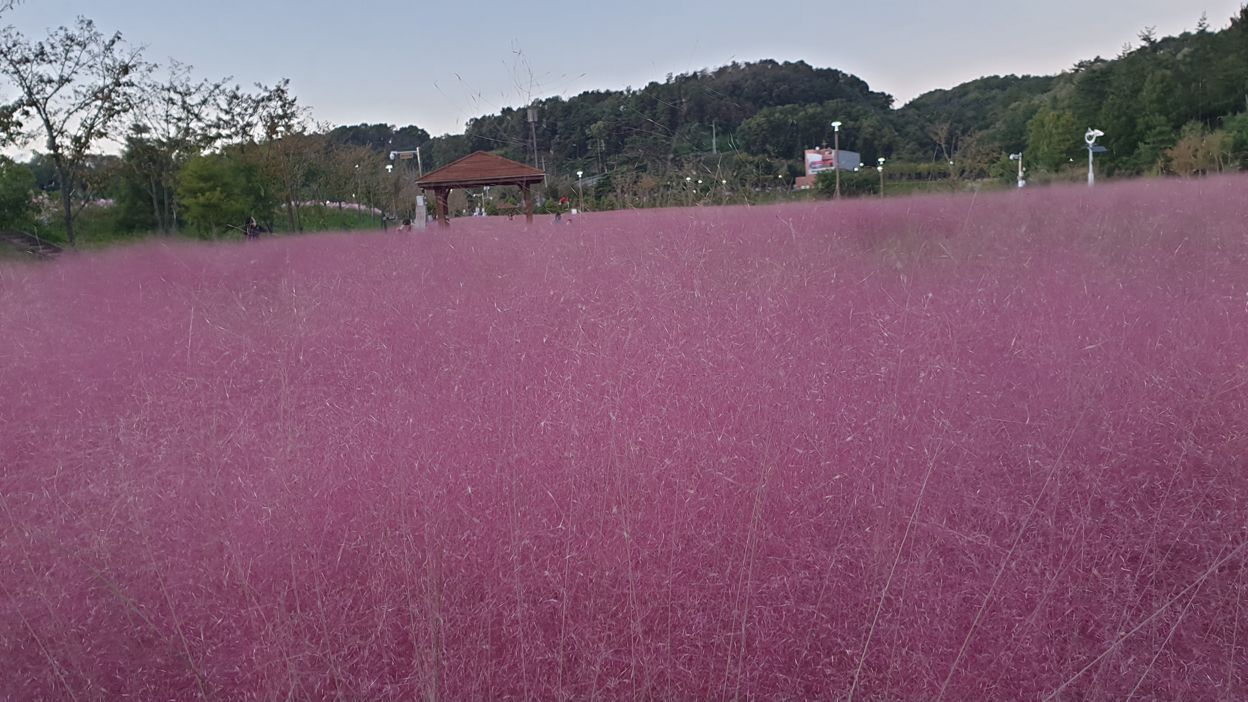 청지기주 이미지