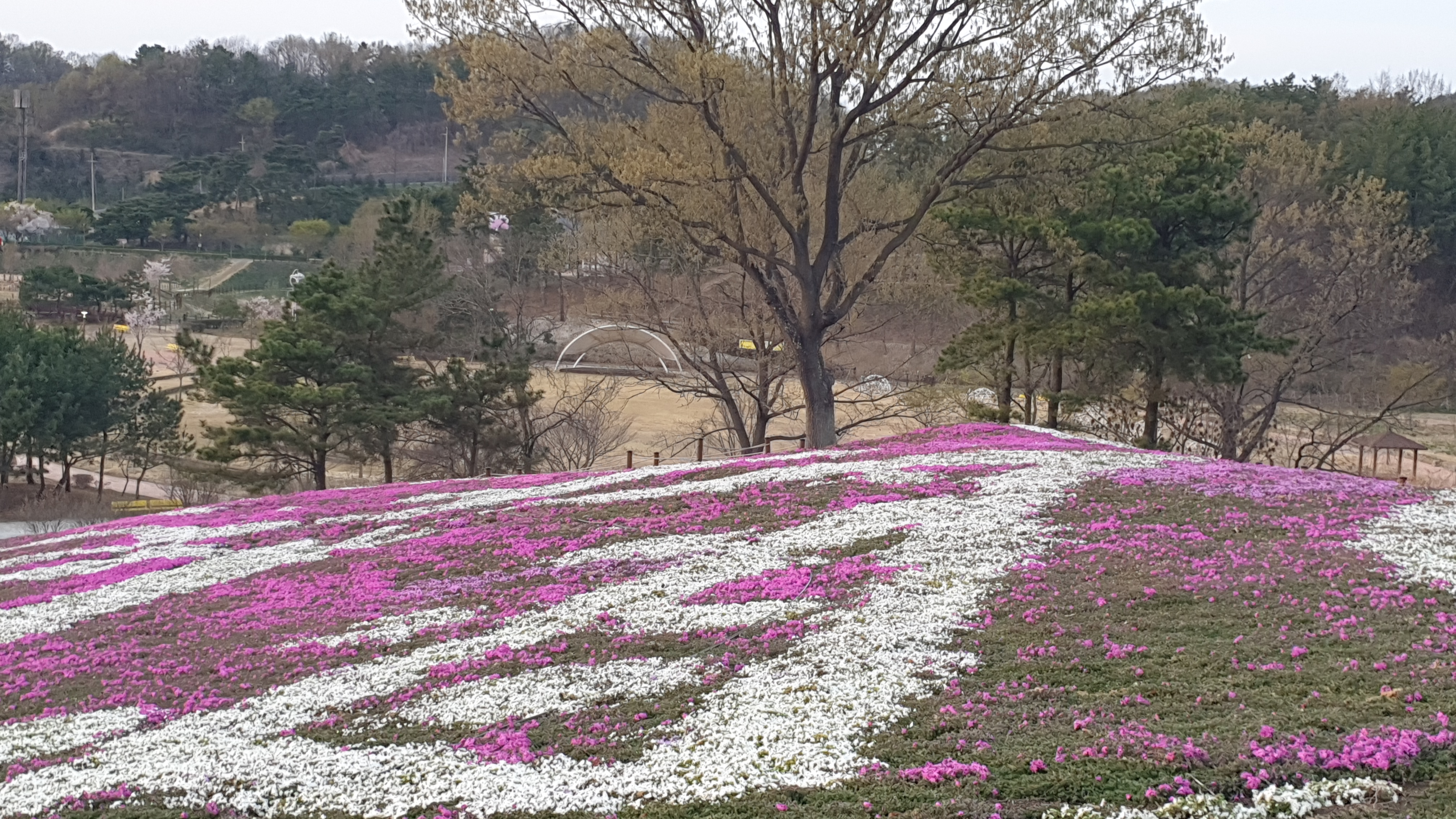 청지기주 이미지