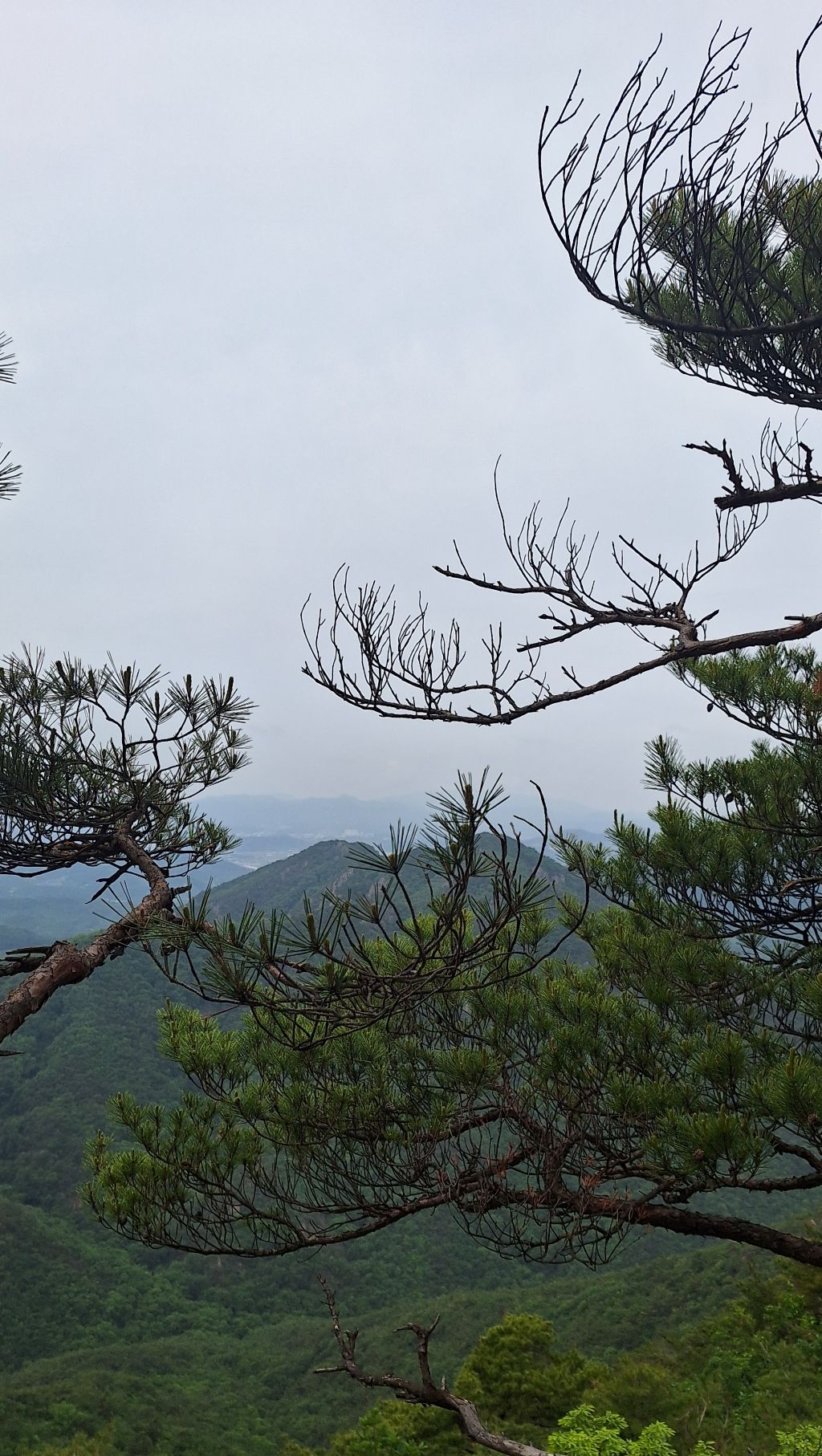 갈기산 이미지