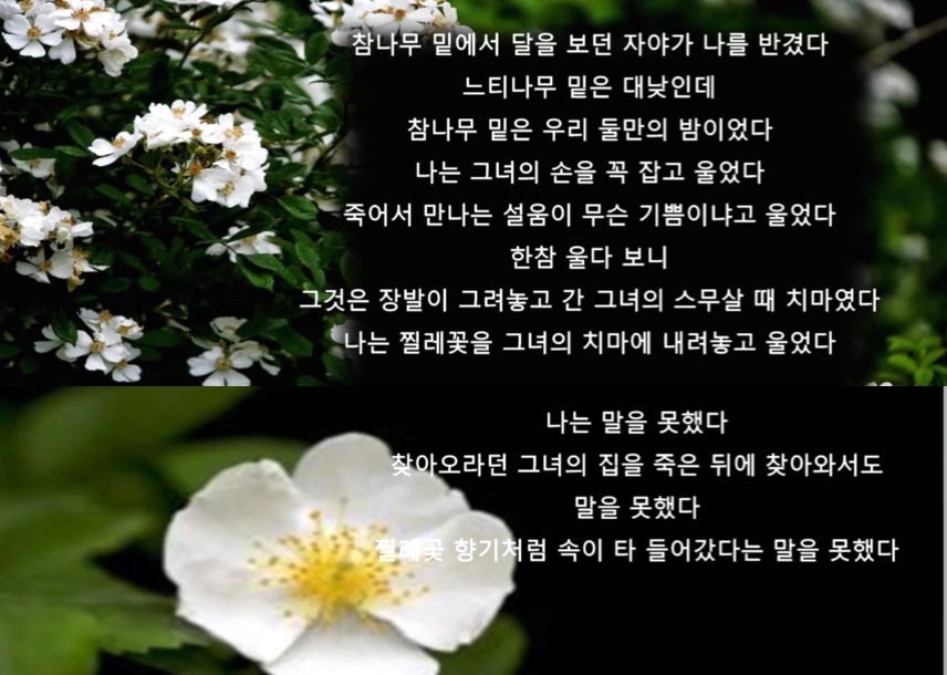 문화극장 이미지