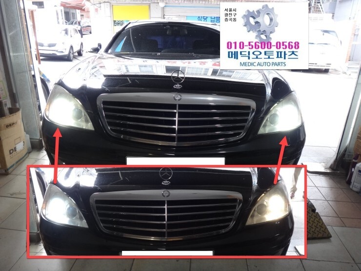 화이트테일 이미지