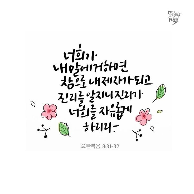 샬롬 이미지
