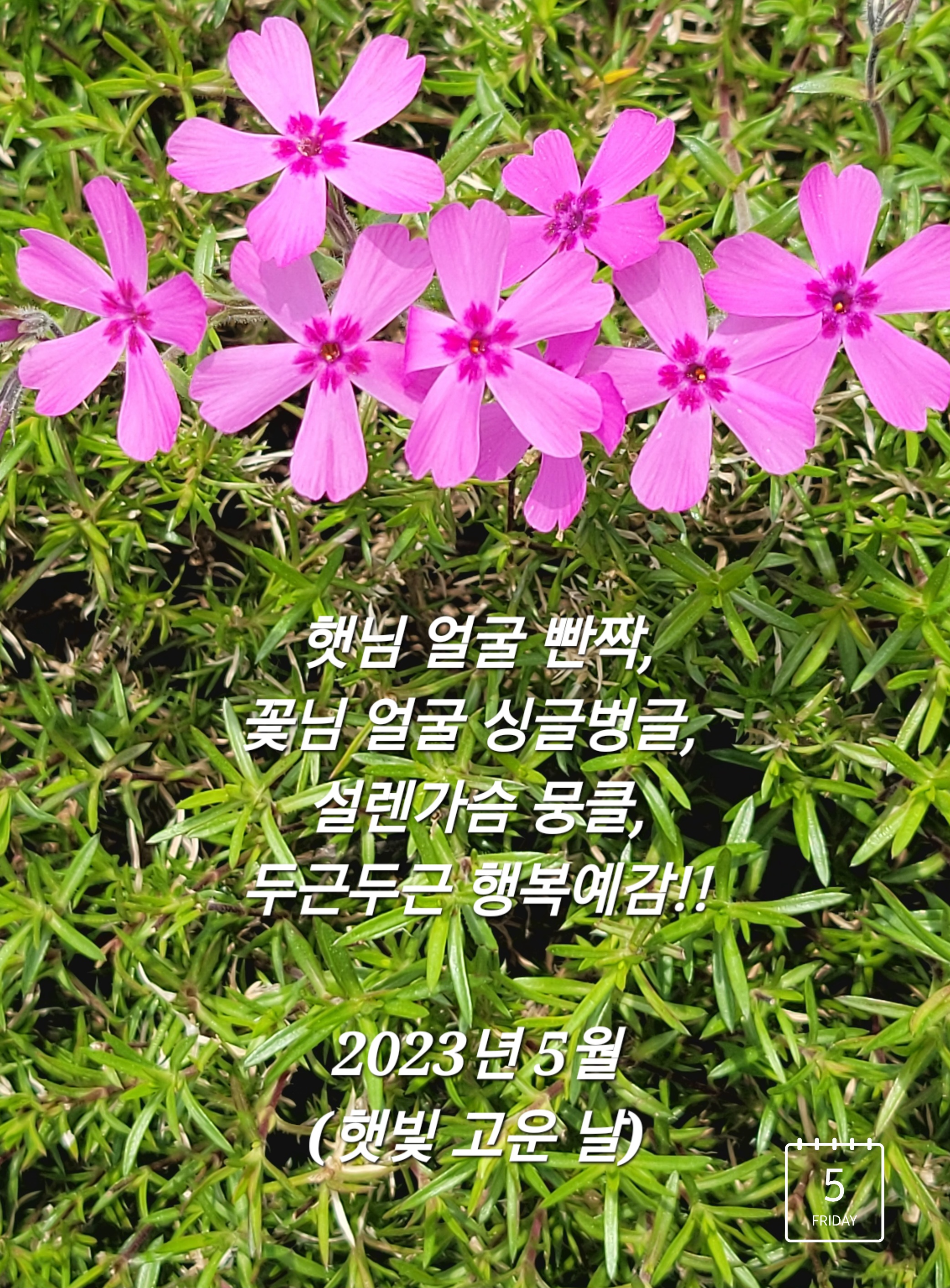 행복예감 이미지