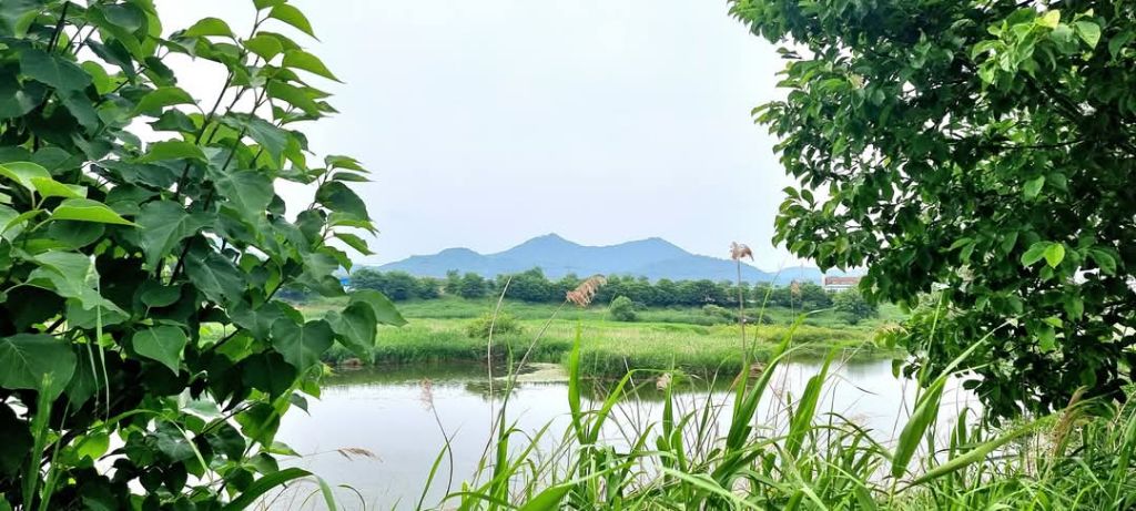 강변 이미지