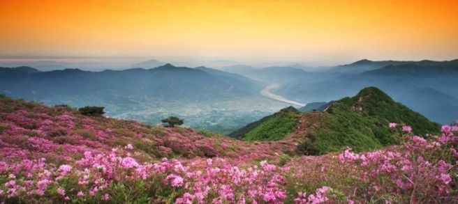 지리산 이미지
