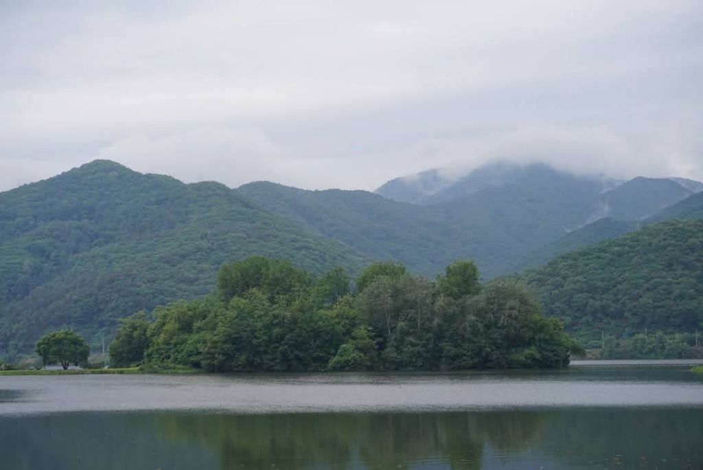 강변 이미지