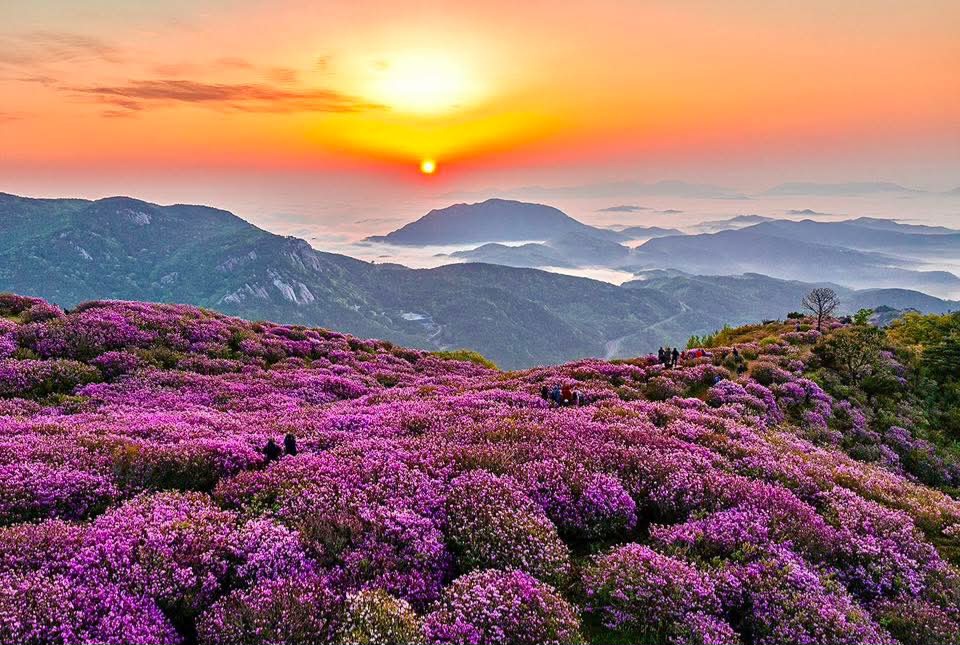 지리산 이미지
