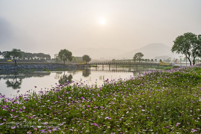 강변 이미지
