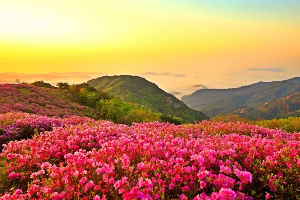 지리산 이미지