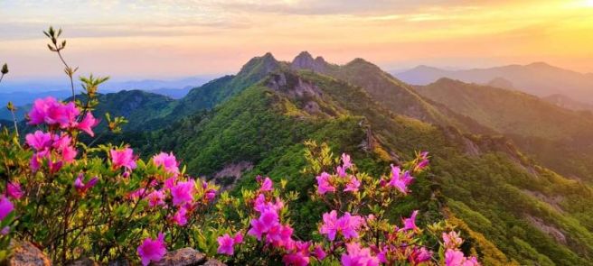 지리산 이미지