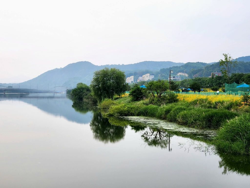 강변 이미지