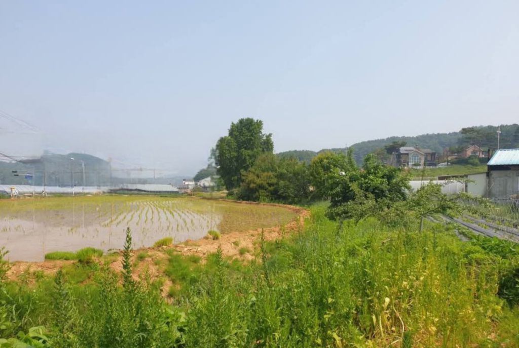강변 이미지