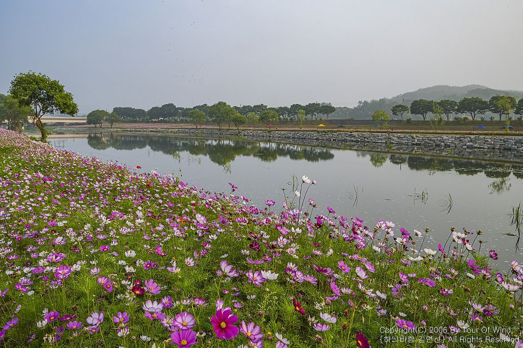 강변 이미지