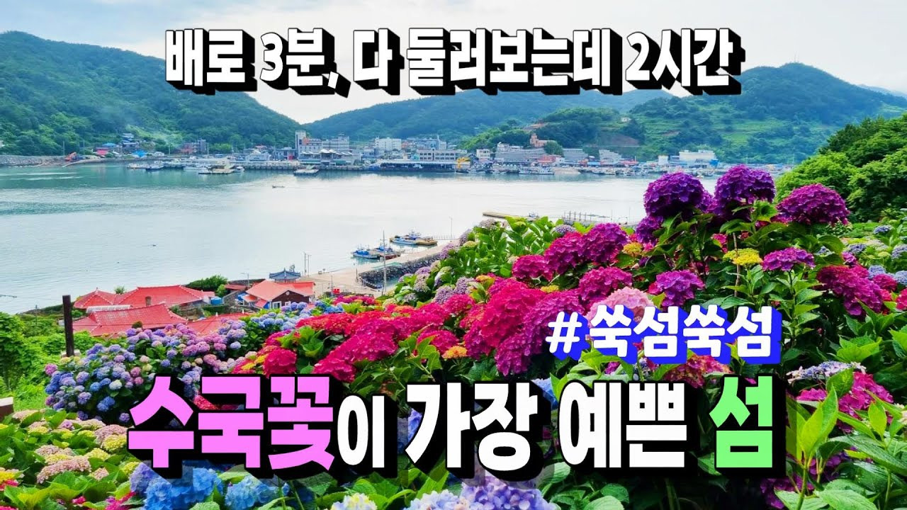도향 이미지