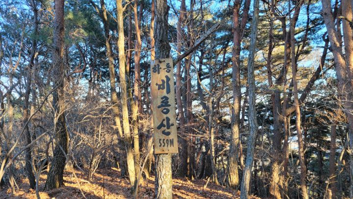 비룡산 정상 이미지