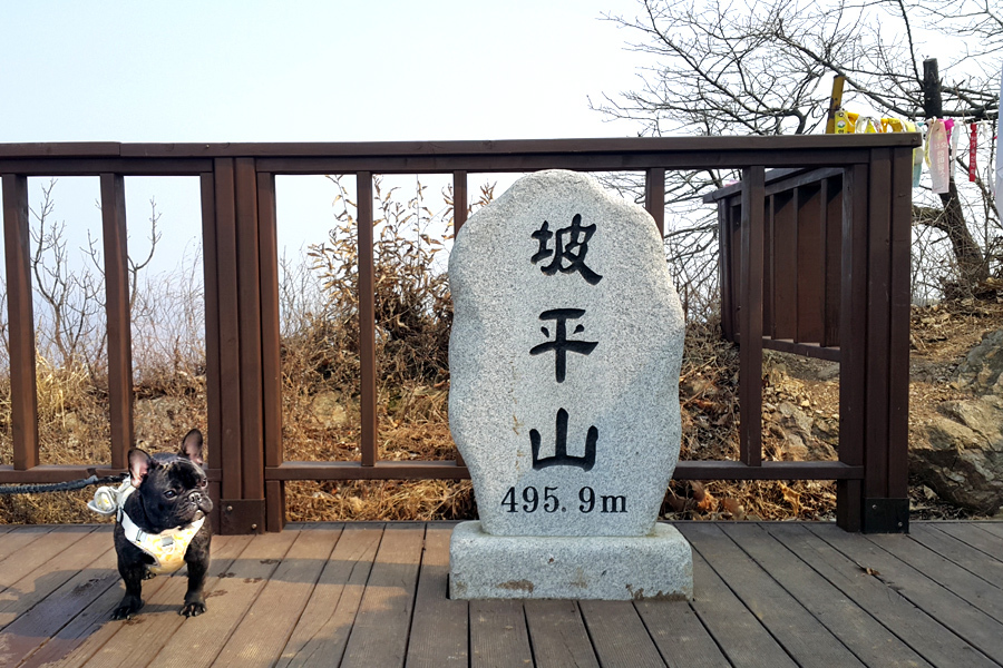 파평산 정상 이미지