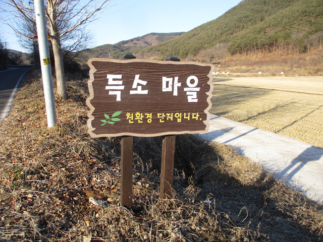 가목 이미지
