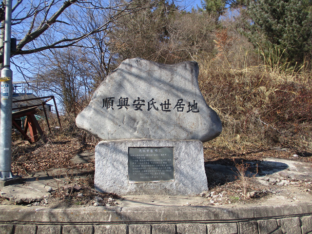 가목 이미지