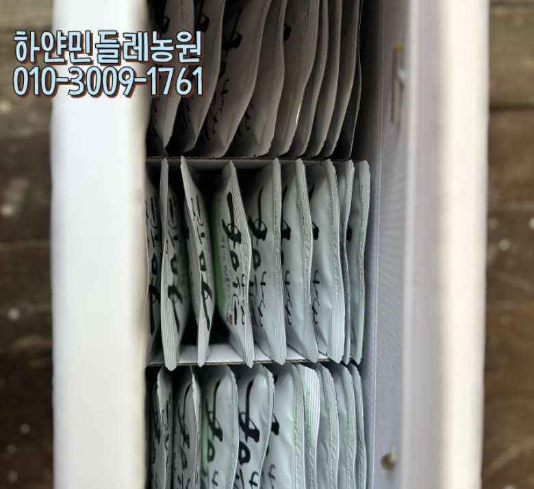 하얀농원 이미지