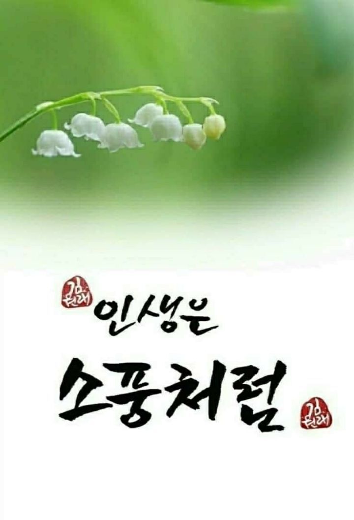 도랑가 이미지