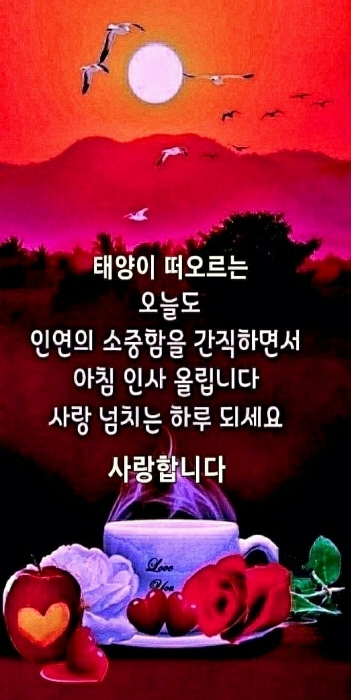 나드리 이미지