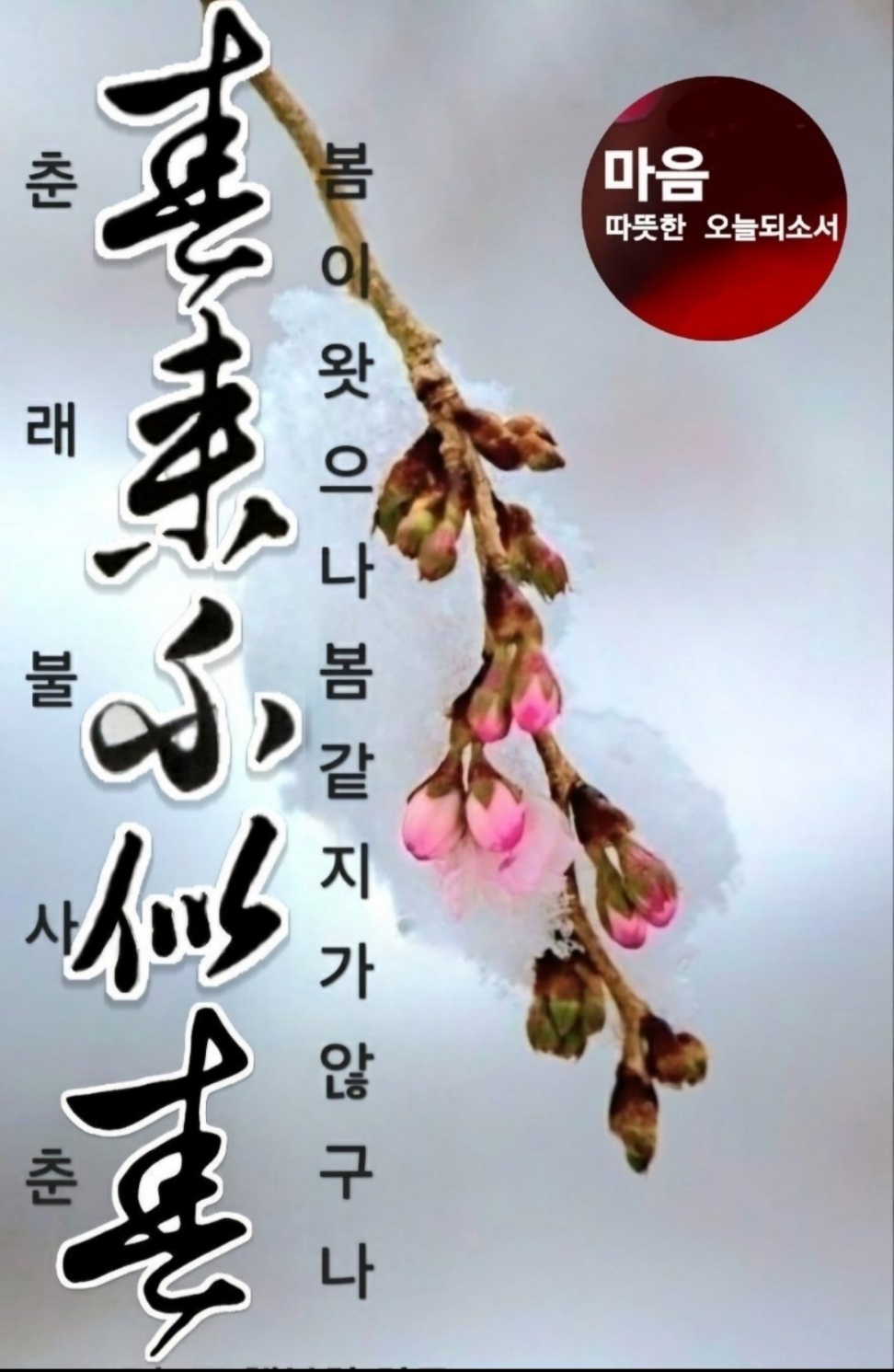 칼디 이미지