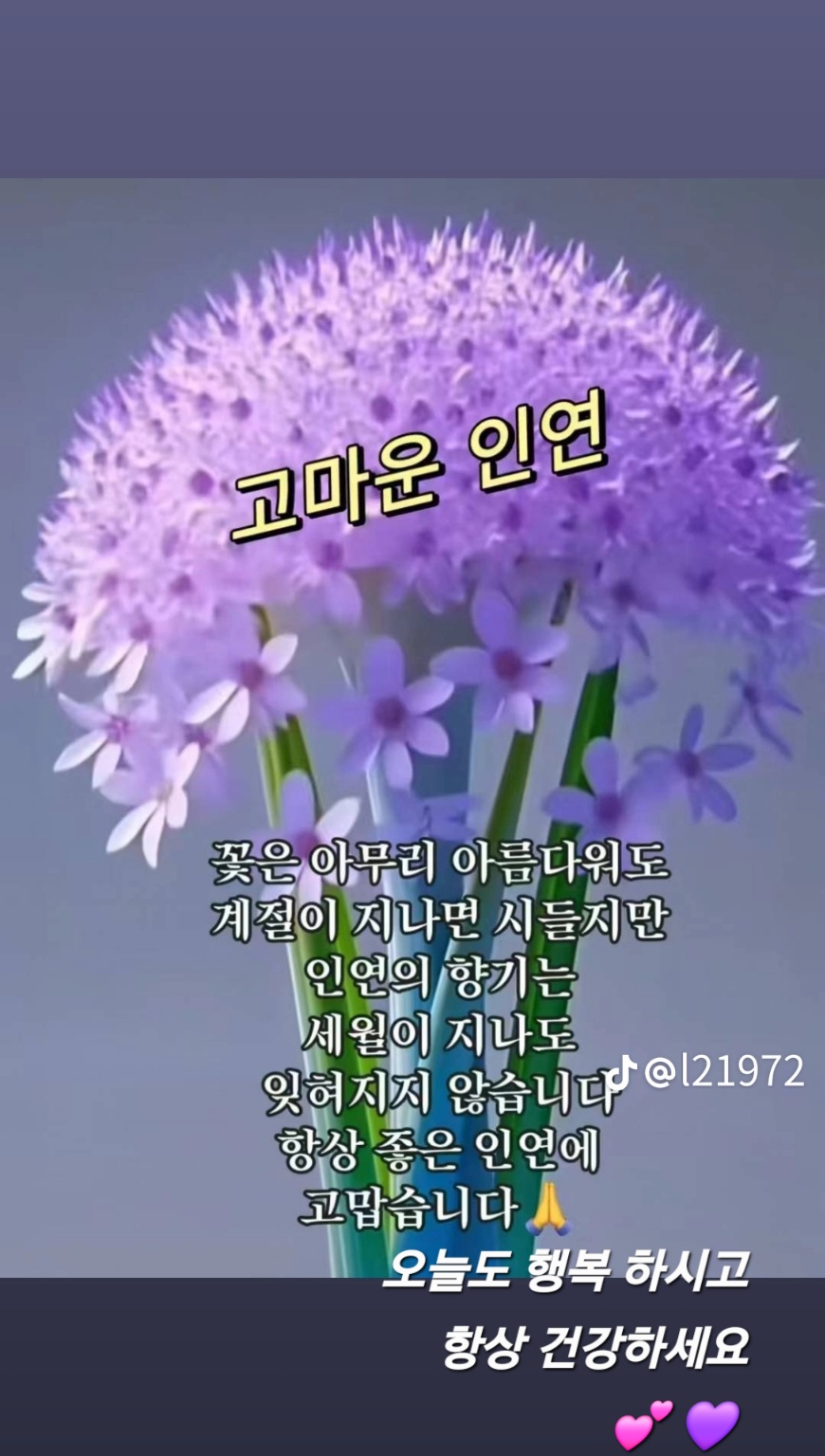 마음이온다 이미지