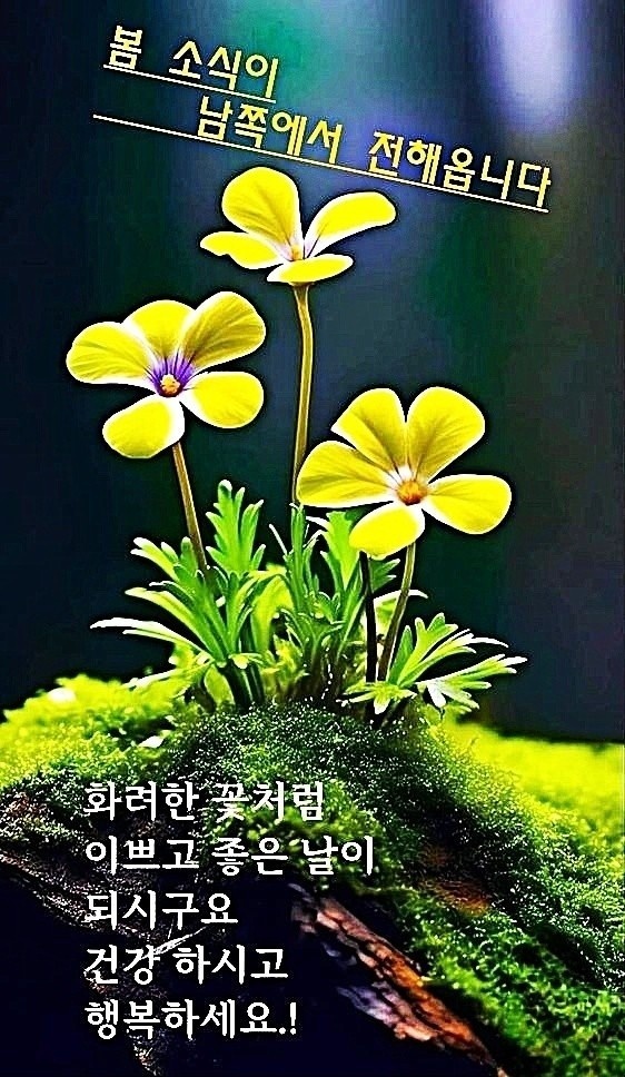 삼족 이미지