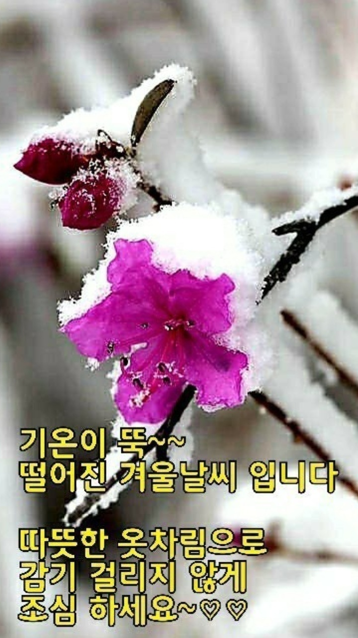 녹명 이미지