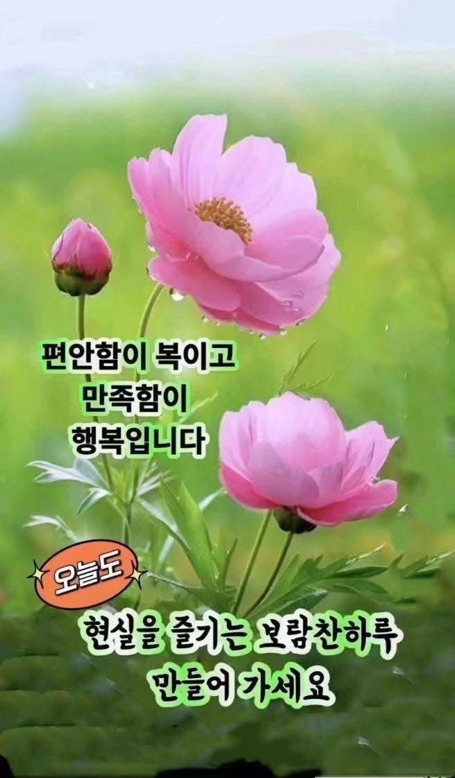 브 이미지
