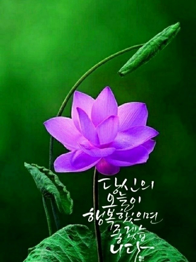 만남 이미지