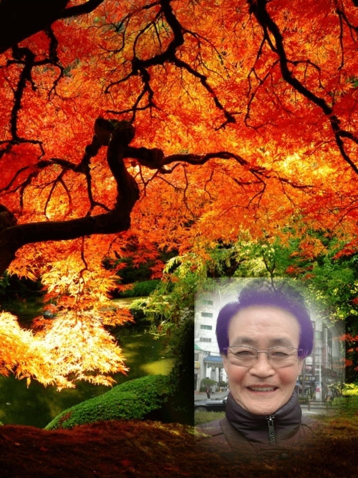 태진식당 이미지