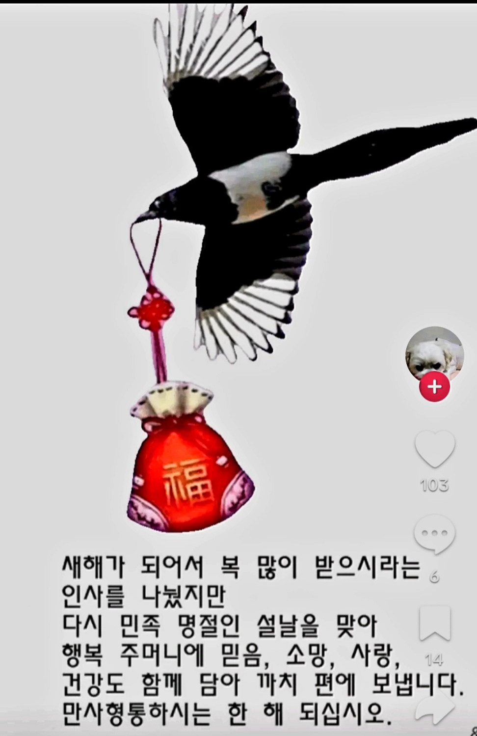 정보 이미지