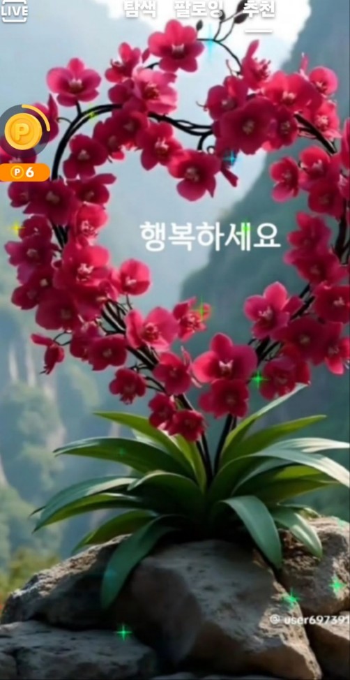 (주)대성케미칼 이미지