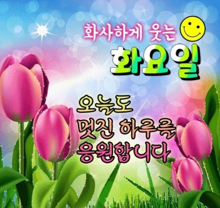 화요일 이미지