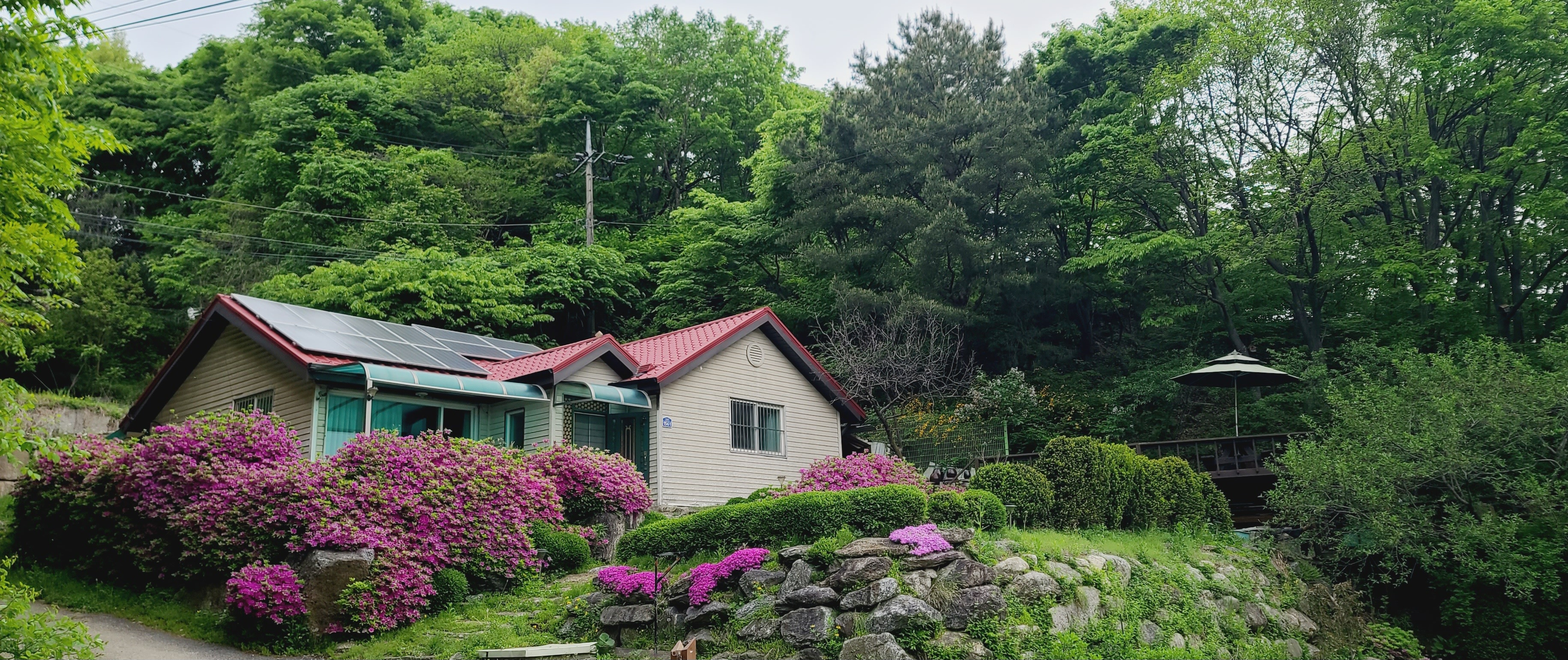 대궐 이미지