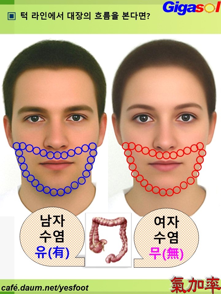 기가솔건강방 이미지