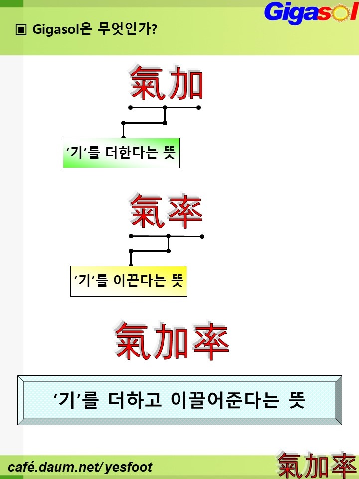 기가솔건강방 이미지