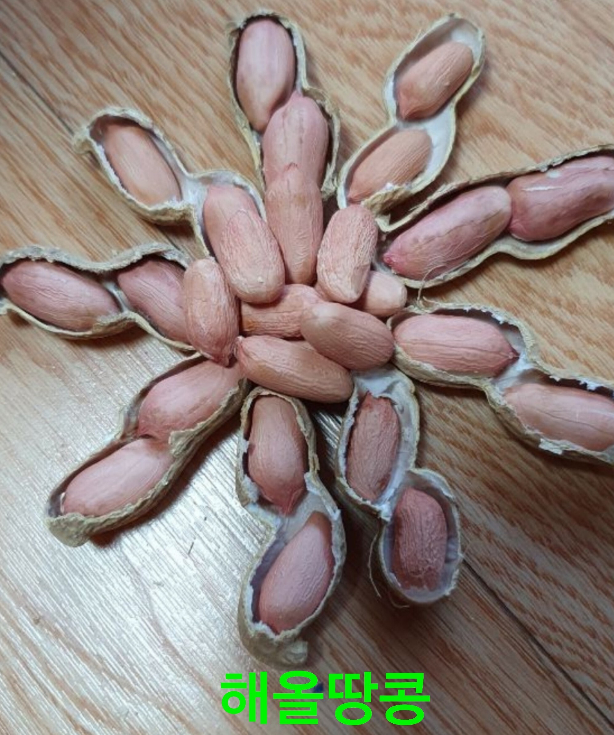 해올 이미지