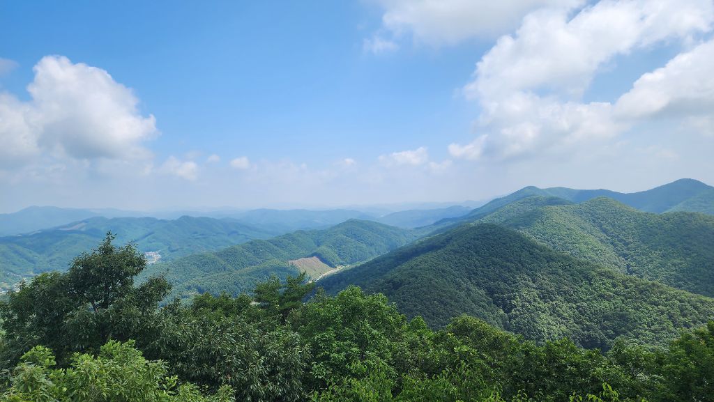 동산자동차공업사 이미지