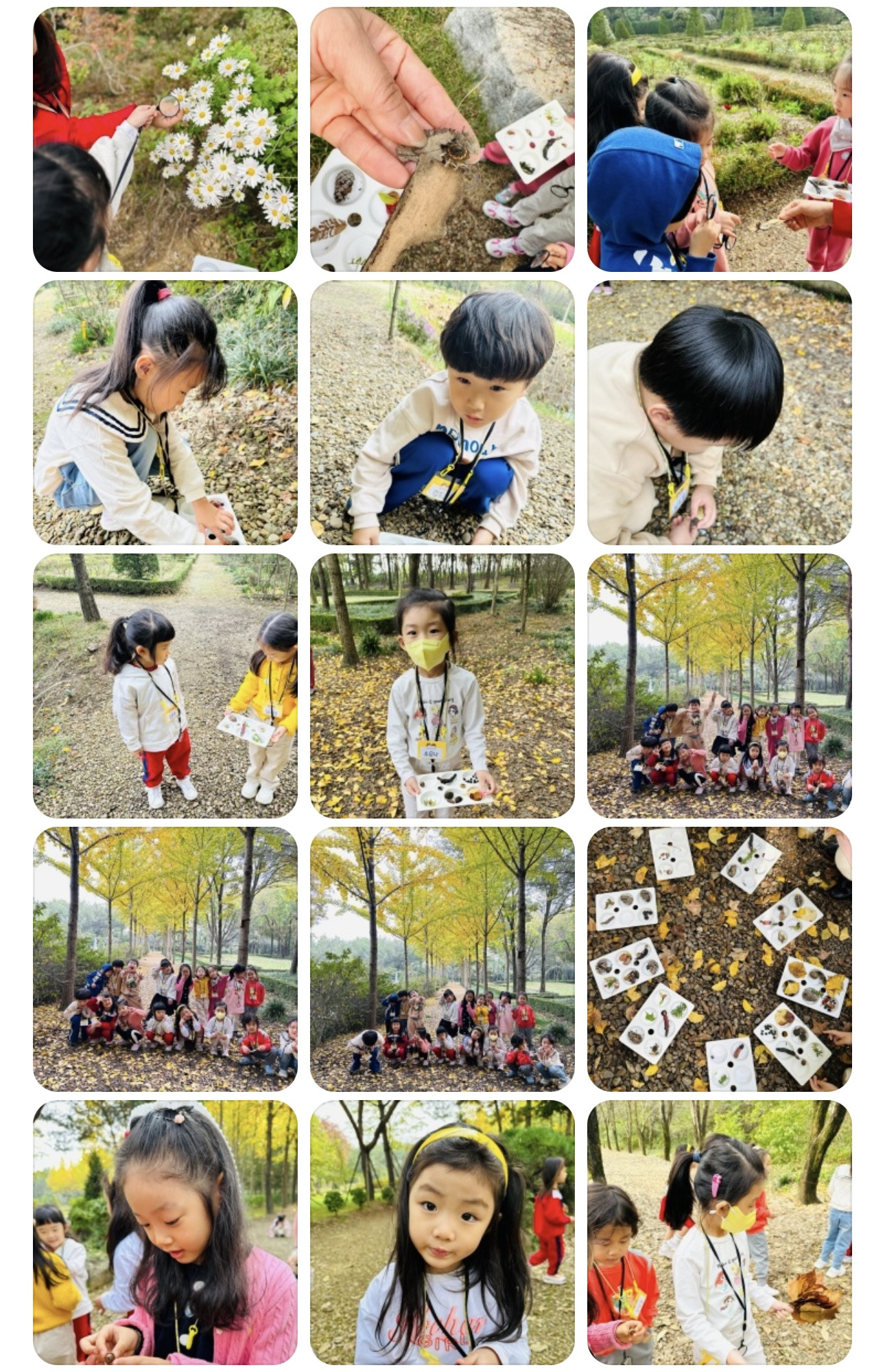 동화자연식물원 이미지