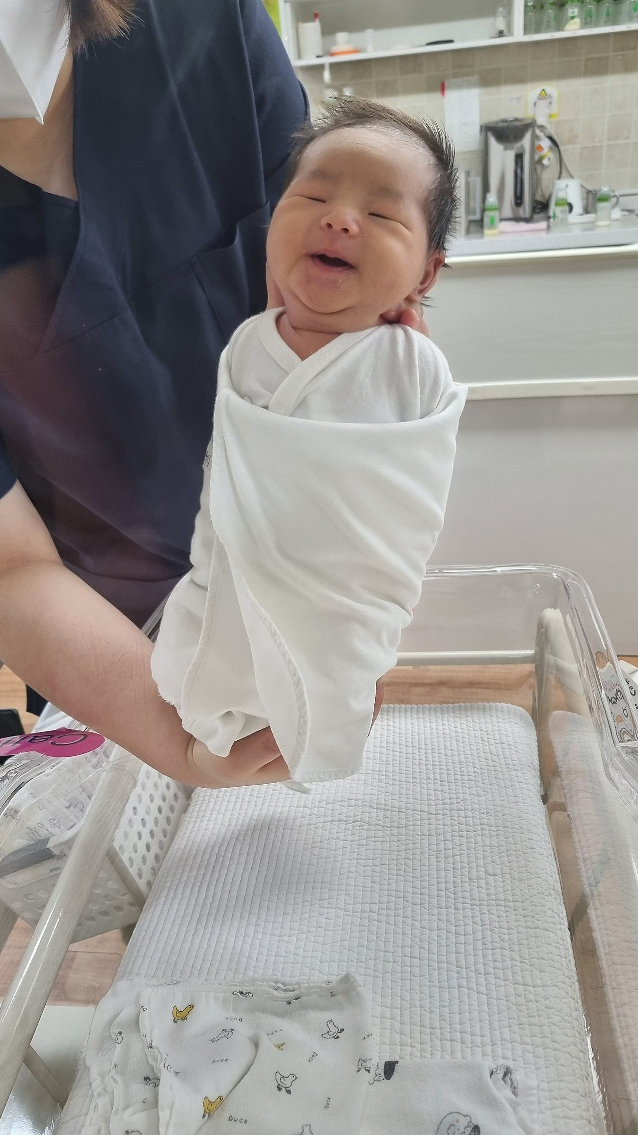 해량260도 이미지