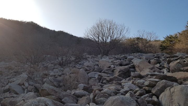 마고단 이미지