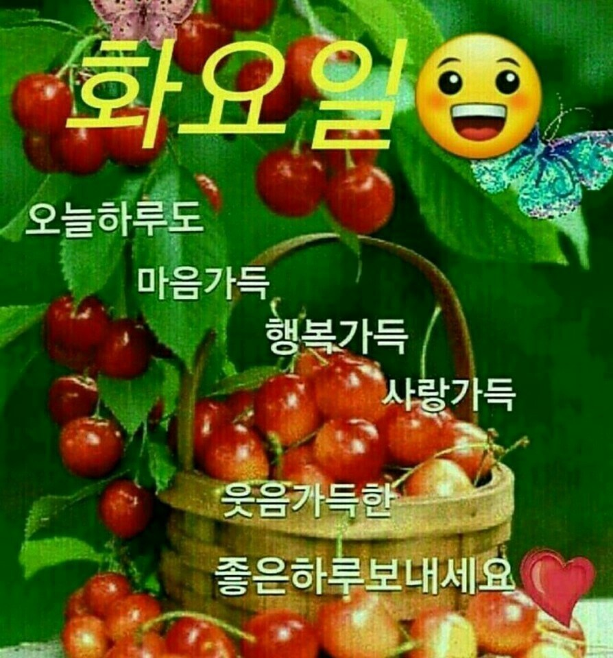 화요일 이미지