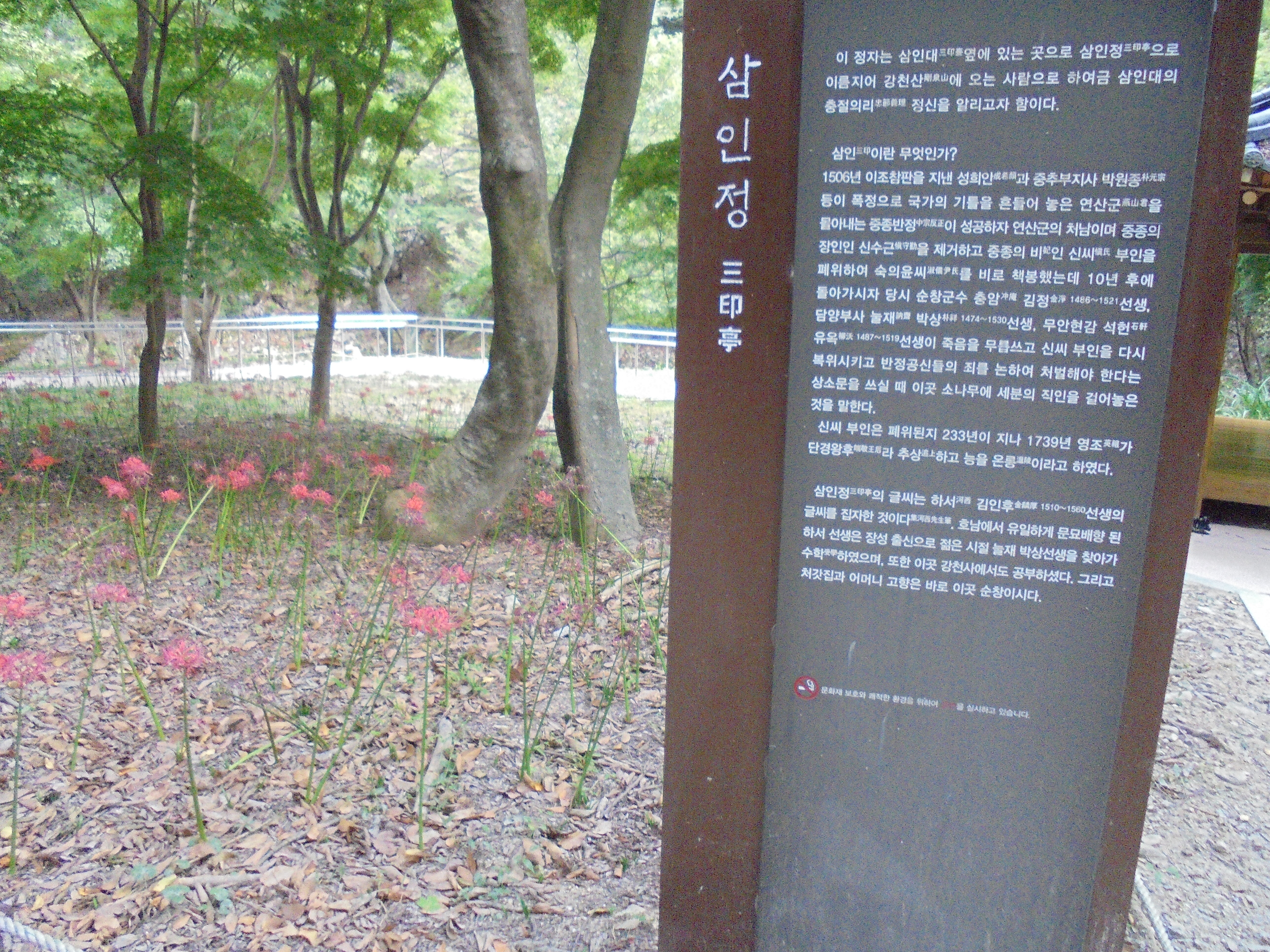 깃대봉 전망대 이미지