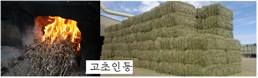 넝쿨의류 이미지