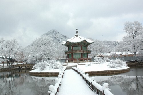 향정원 이미지